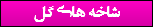 شاخه های گل