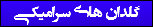 گلدان های سرامیکی